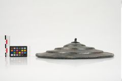 Foto von Bronzephalere (NHMW-PRAE-026092)